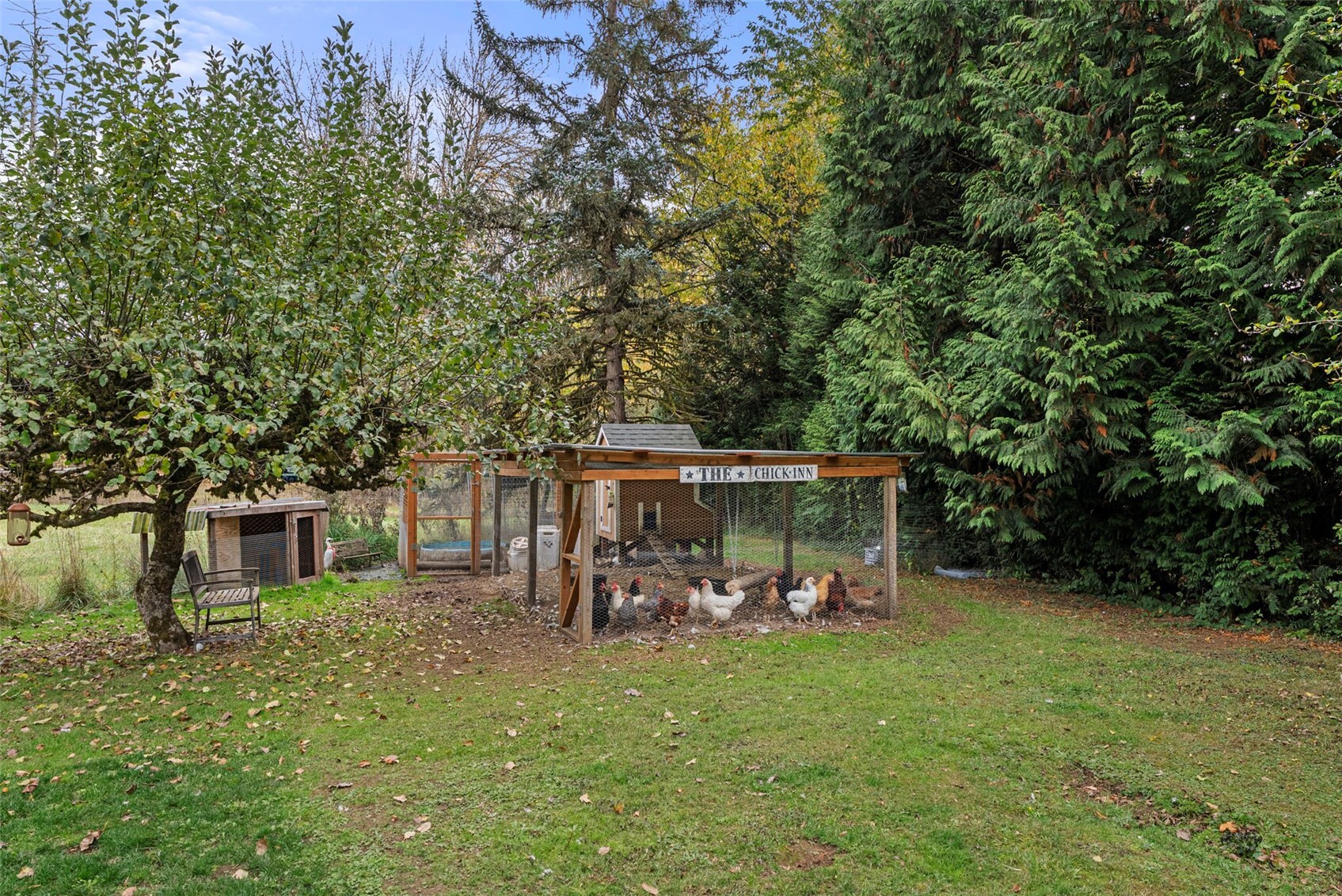 main property photo 32