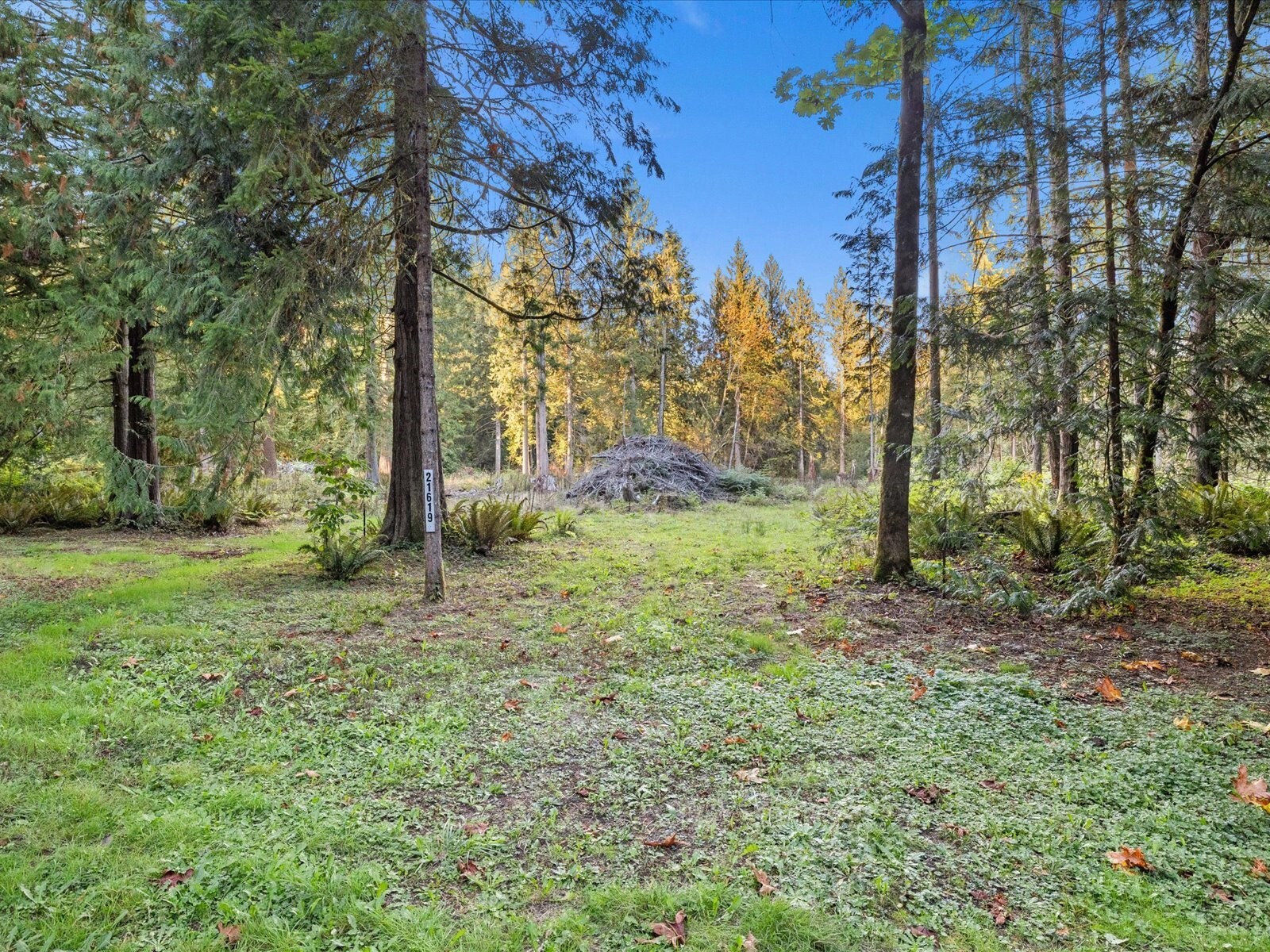 main property photo 29