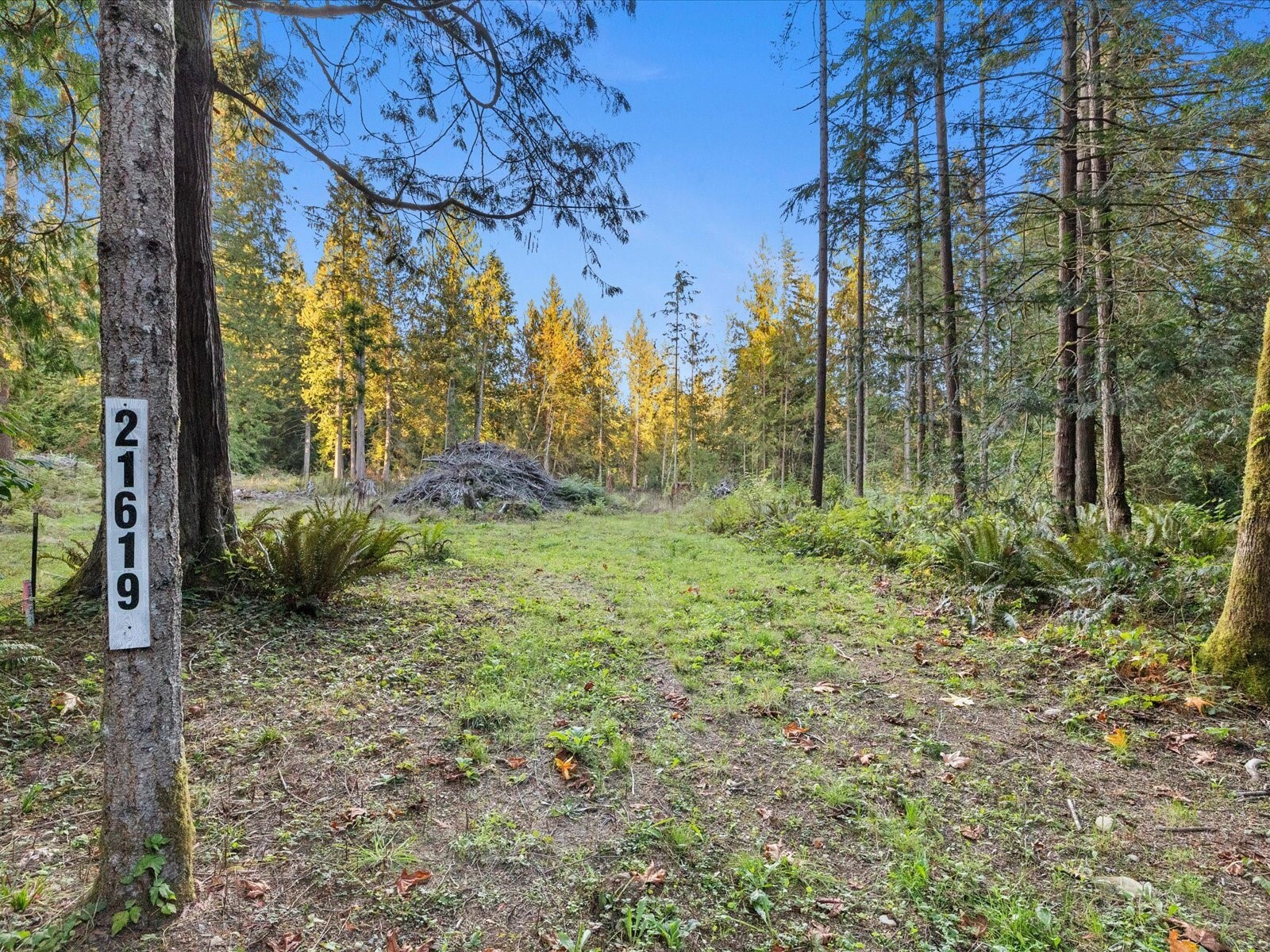 main property photo 8
