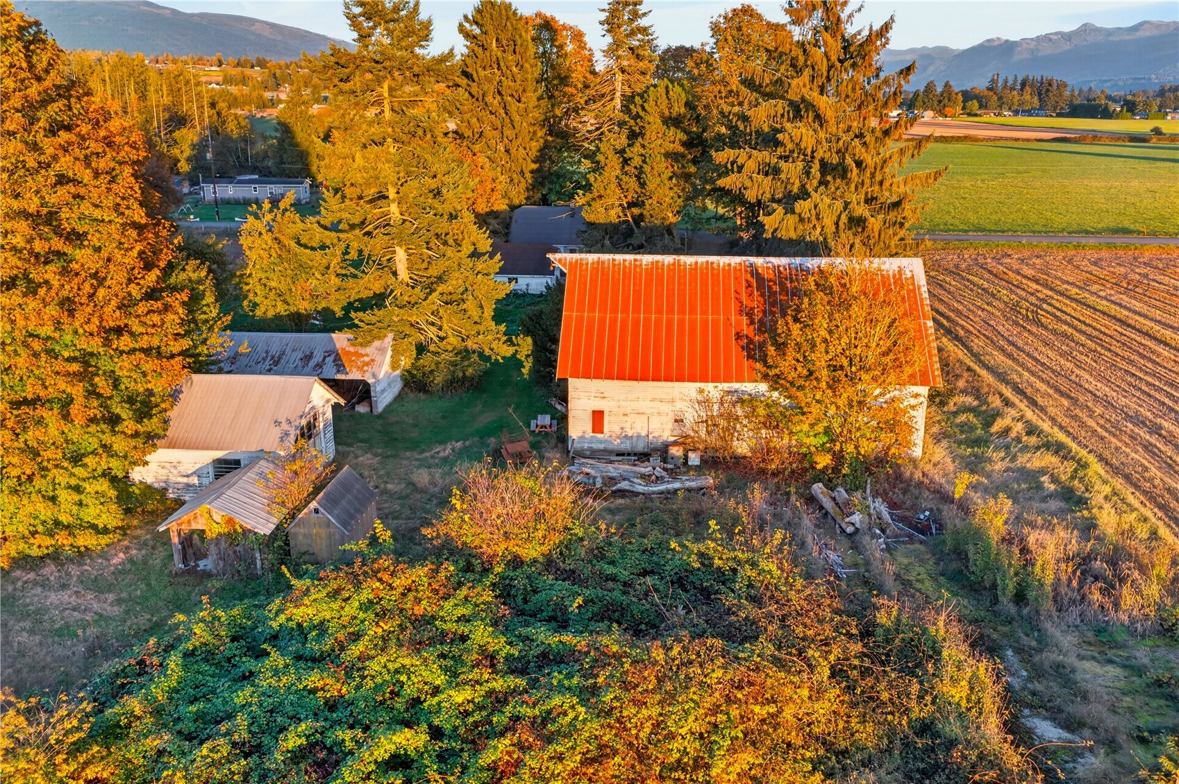 main property photo 31
