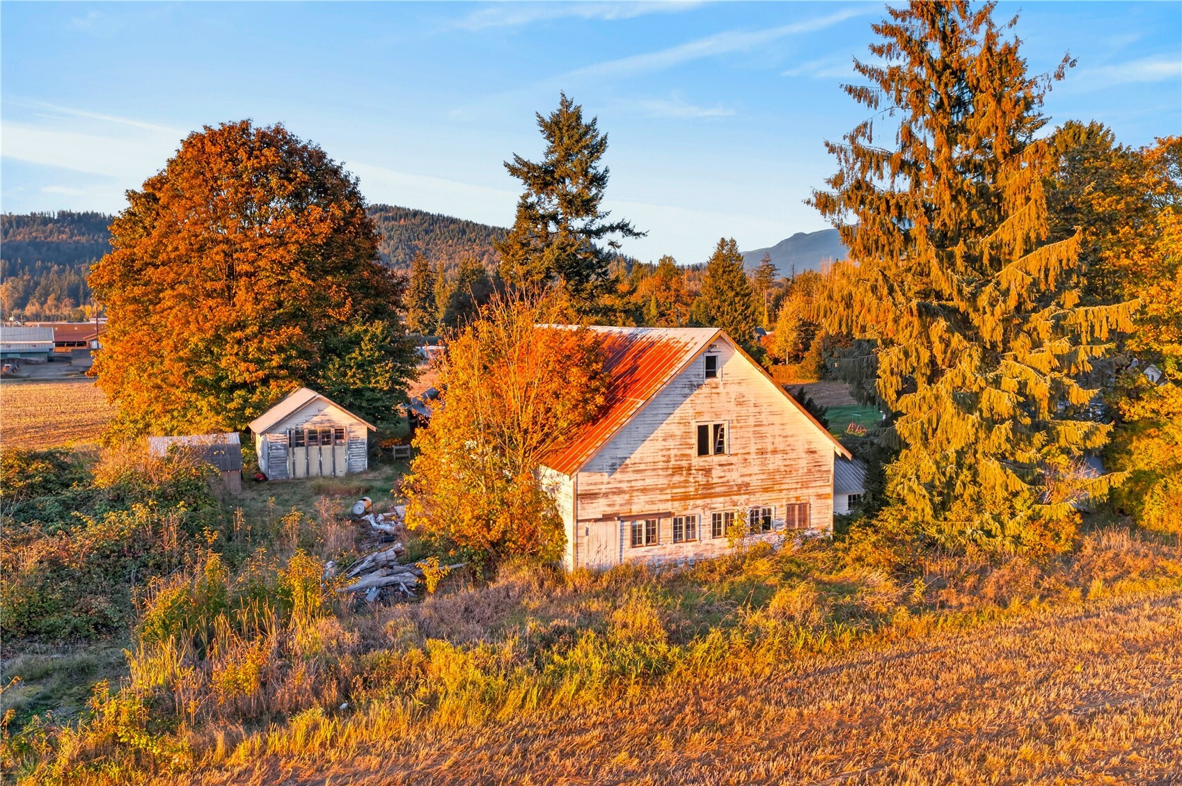 main property photo 33