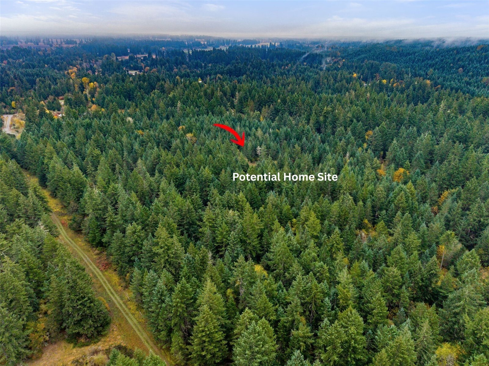 main property photo 5