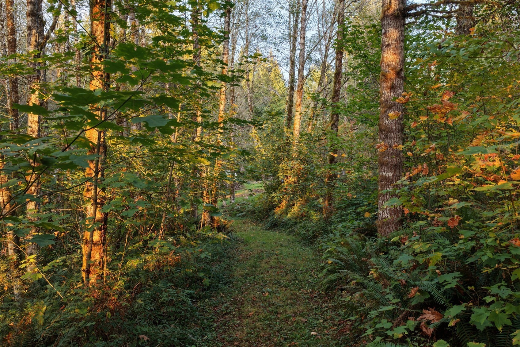 main property photo 7