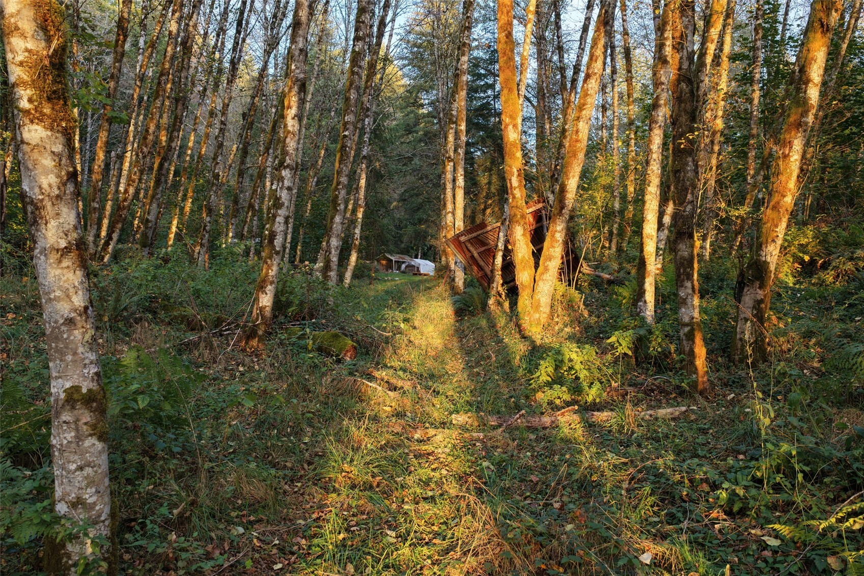 main property photo 9