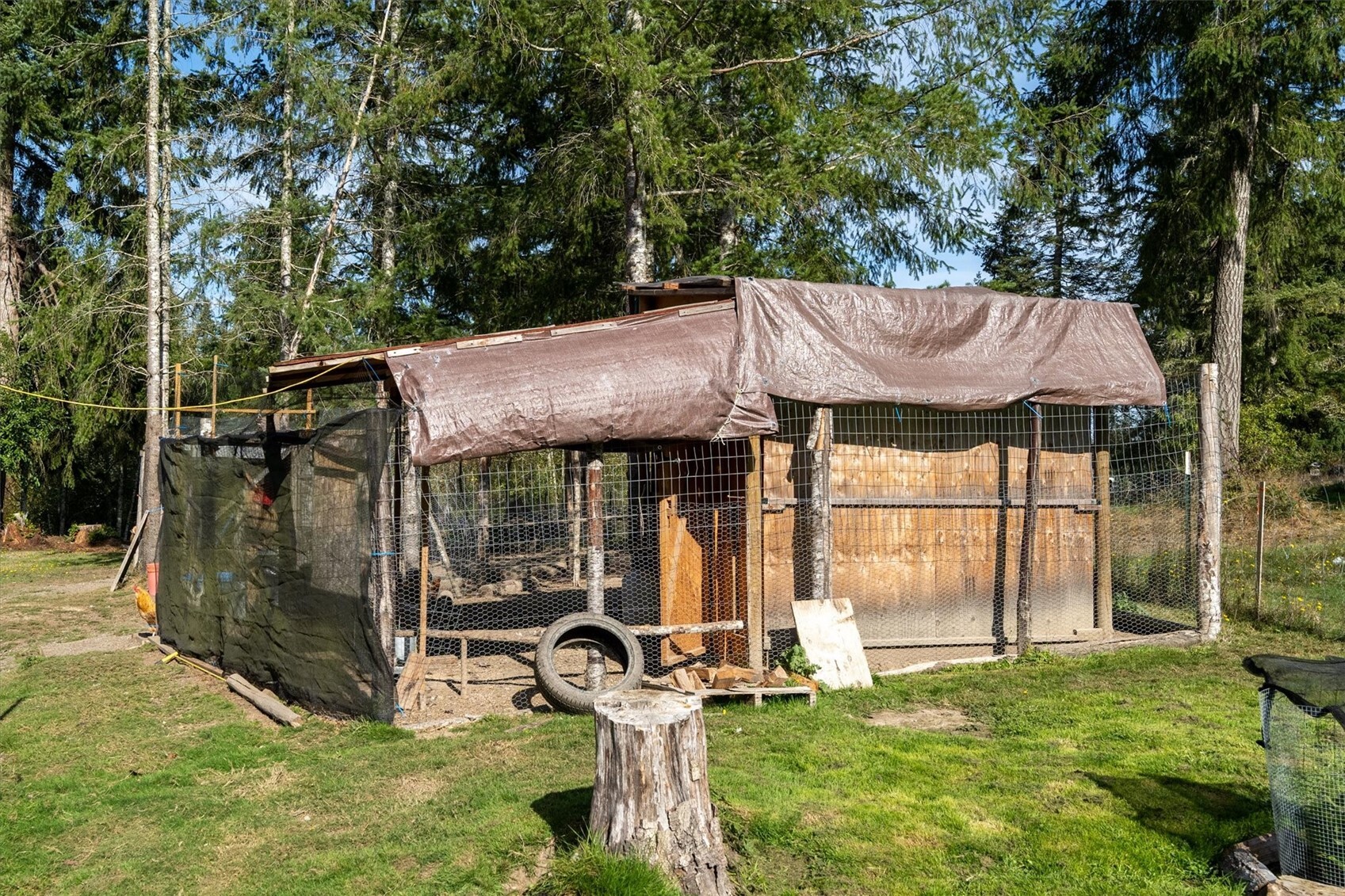 main property photo 18
