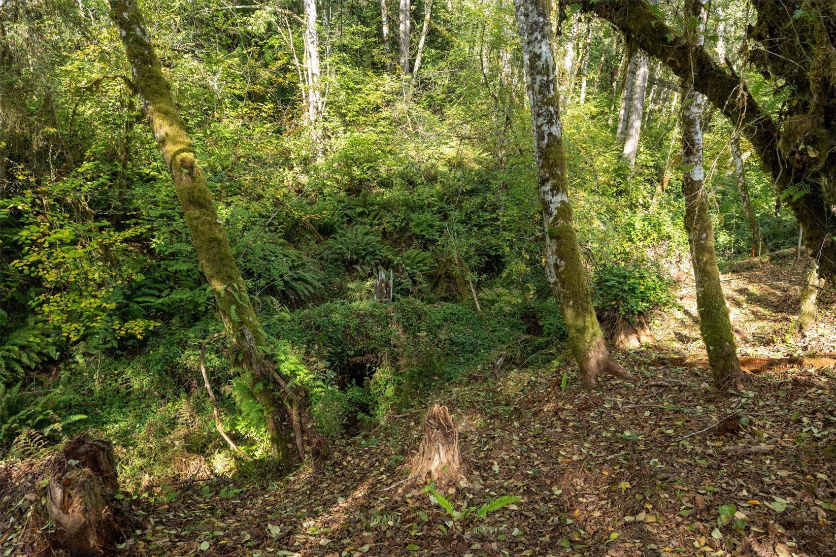 main property photo 23