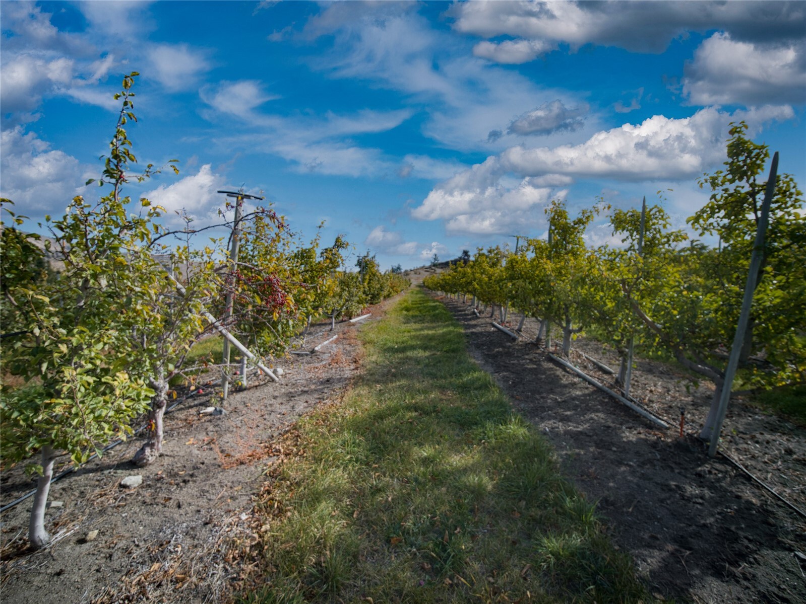 main property photo 23
