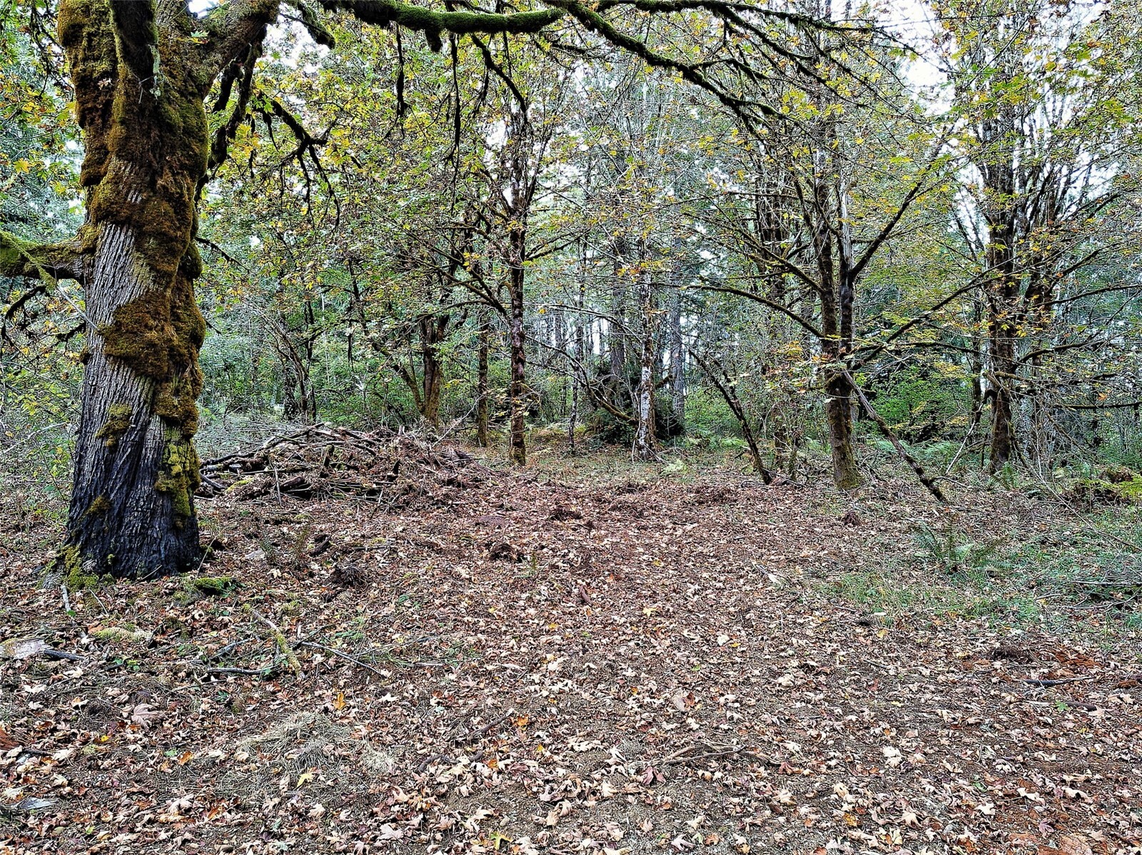 main property photo 39