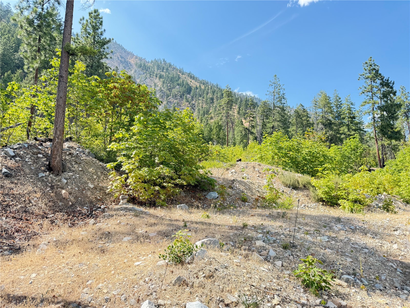 main property photo 0