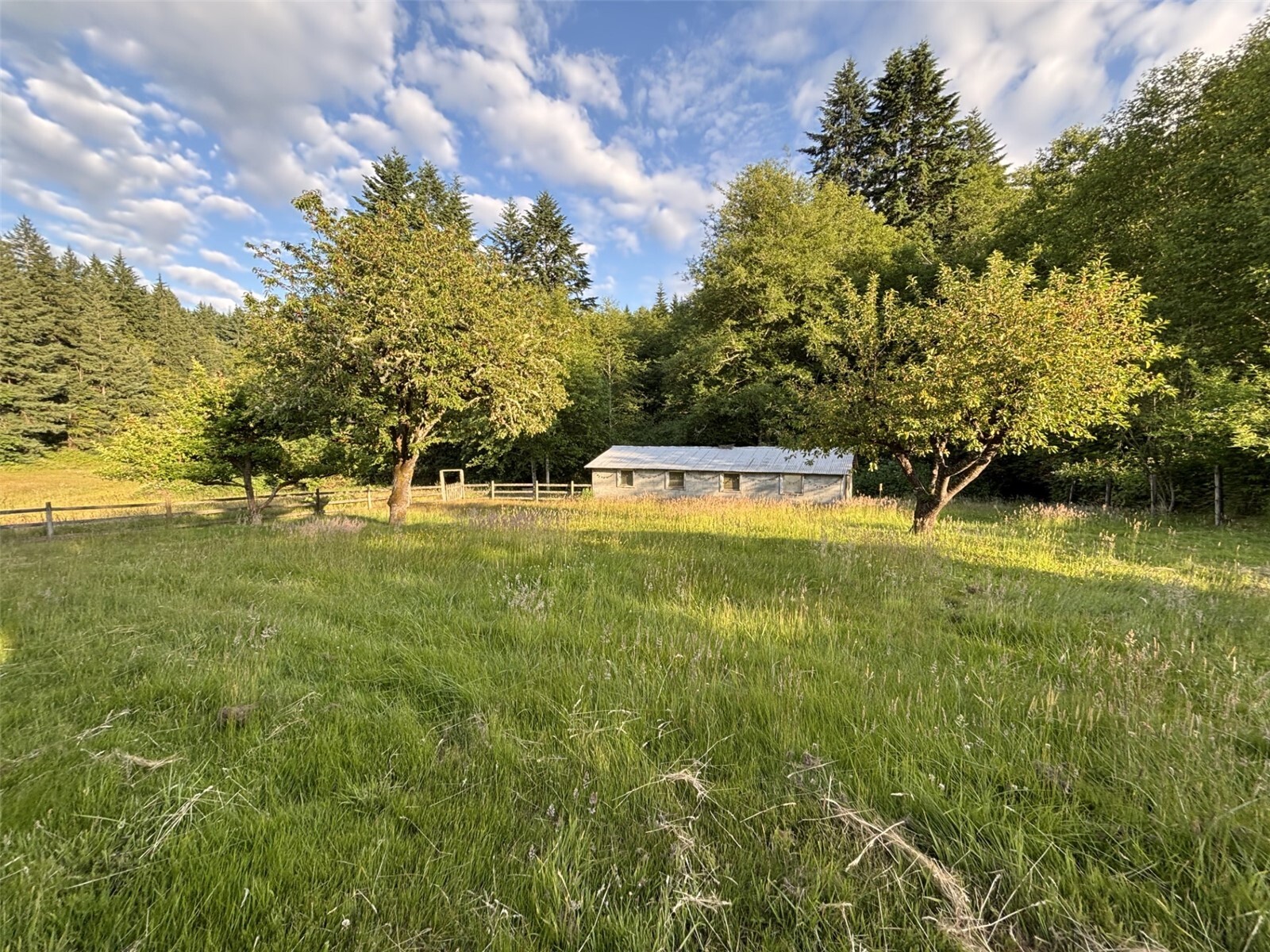main property photo 26