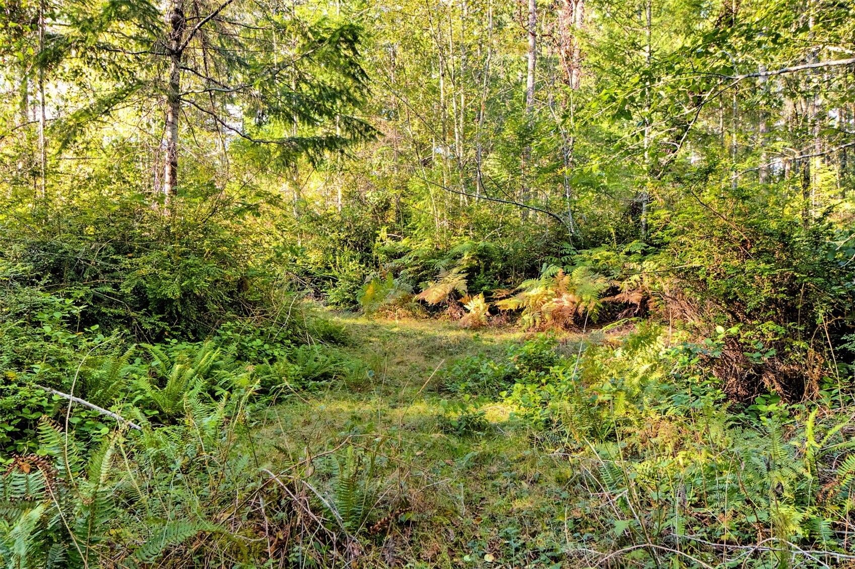main property photo 12