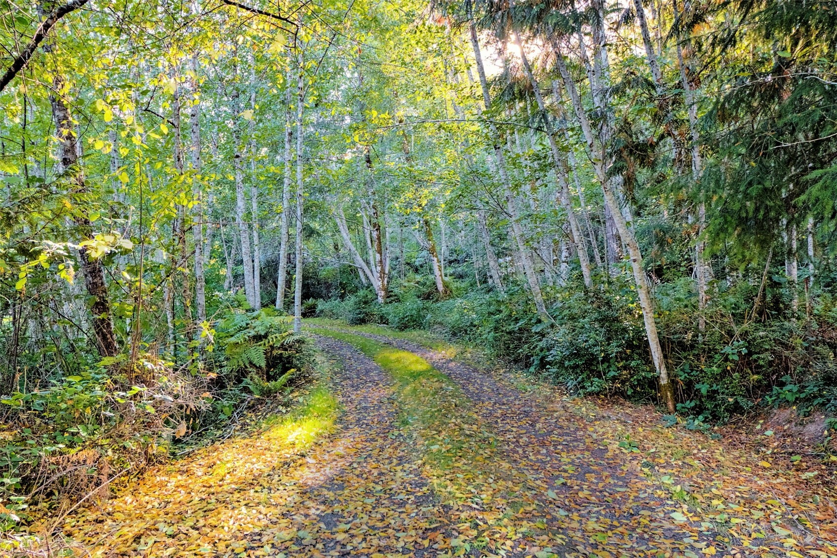 main property photo 13