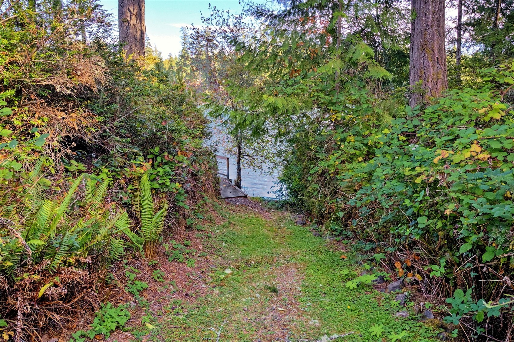 main property photo 22