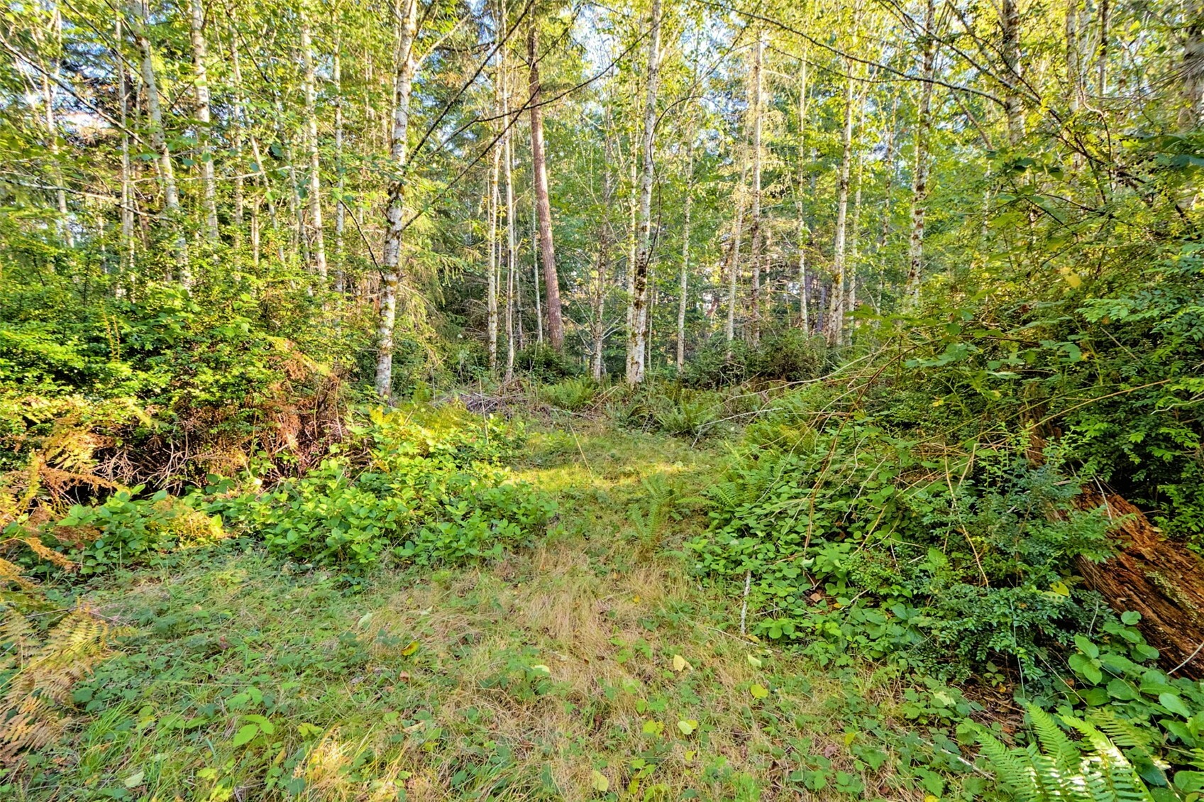 main property photo 9