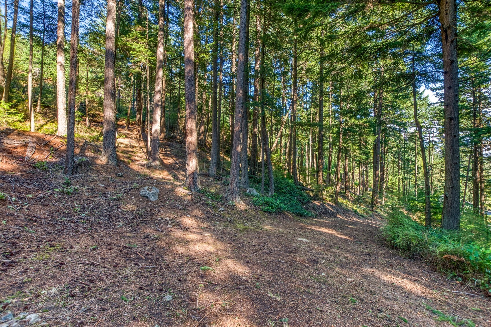 main property photo 18