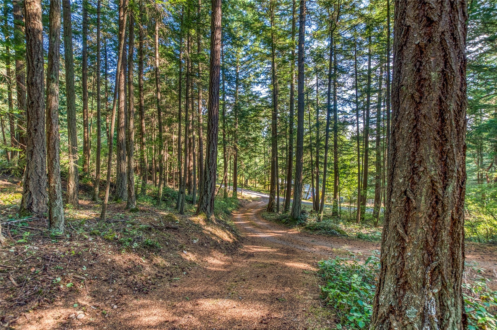 main property photo 30