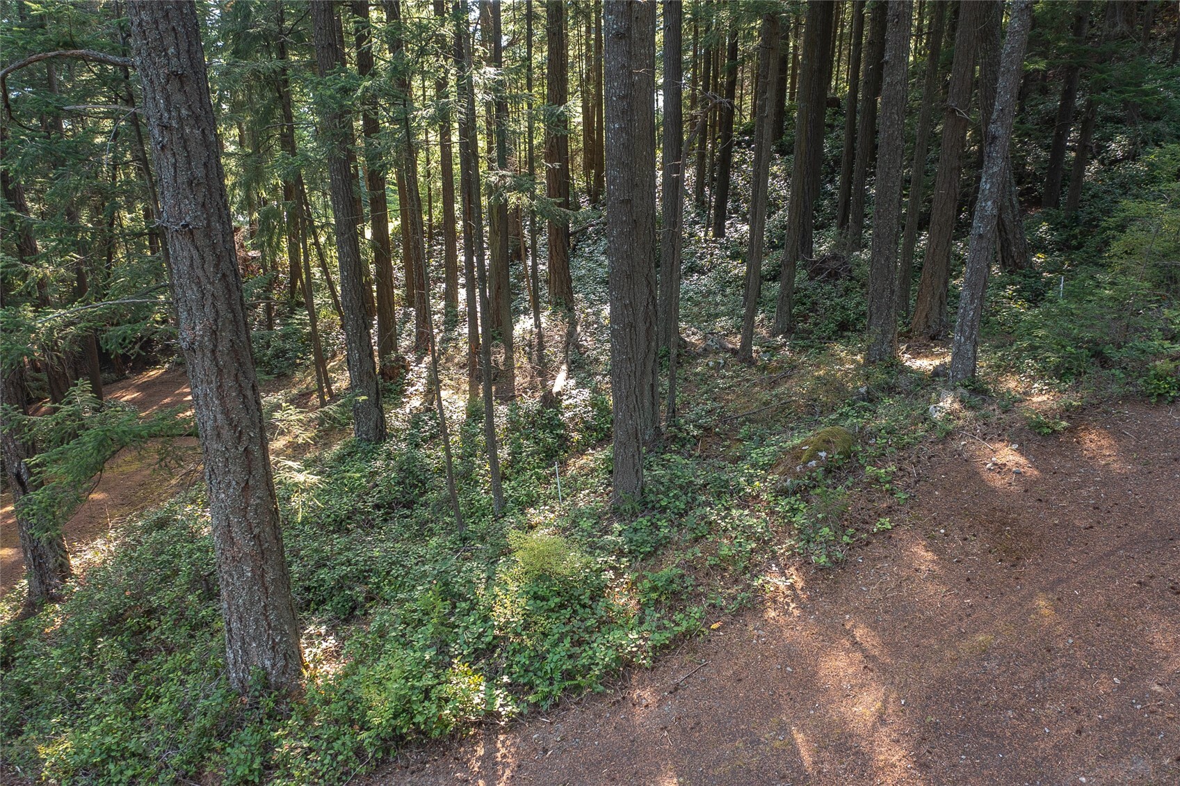 main property photo 37