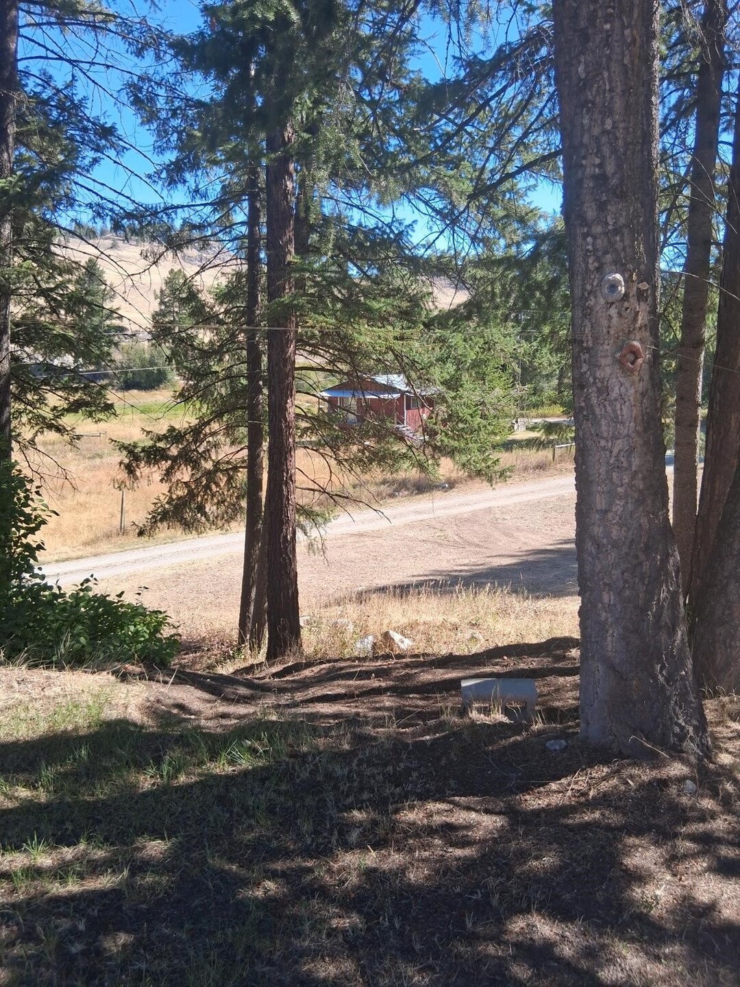 main property photo 19