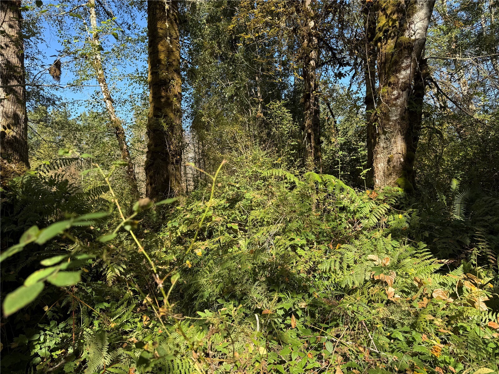 main property photo 10