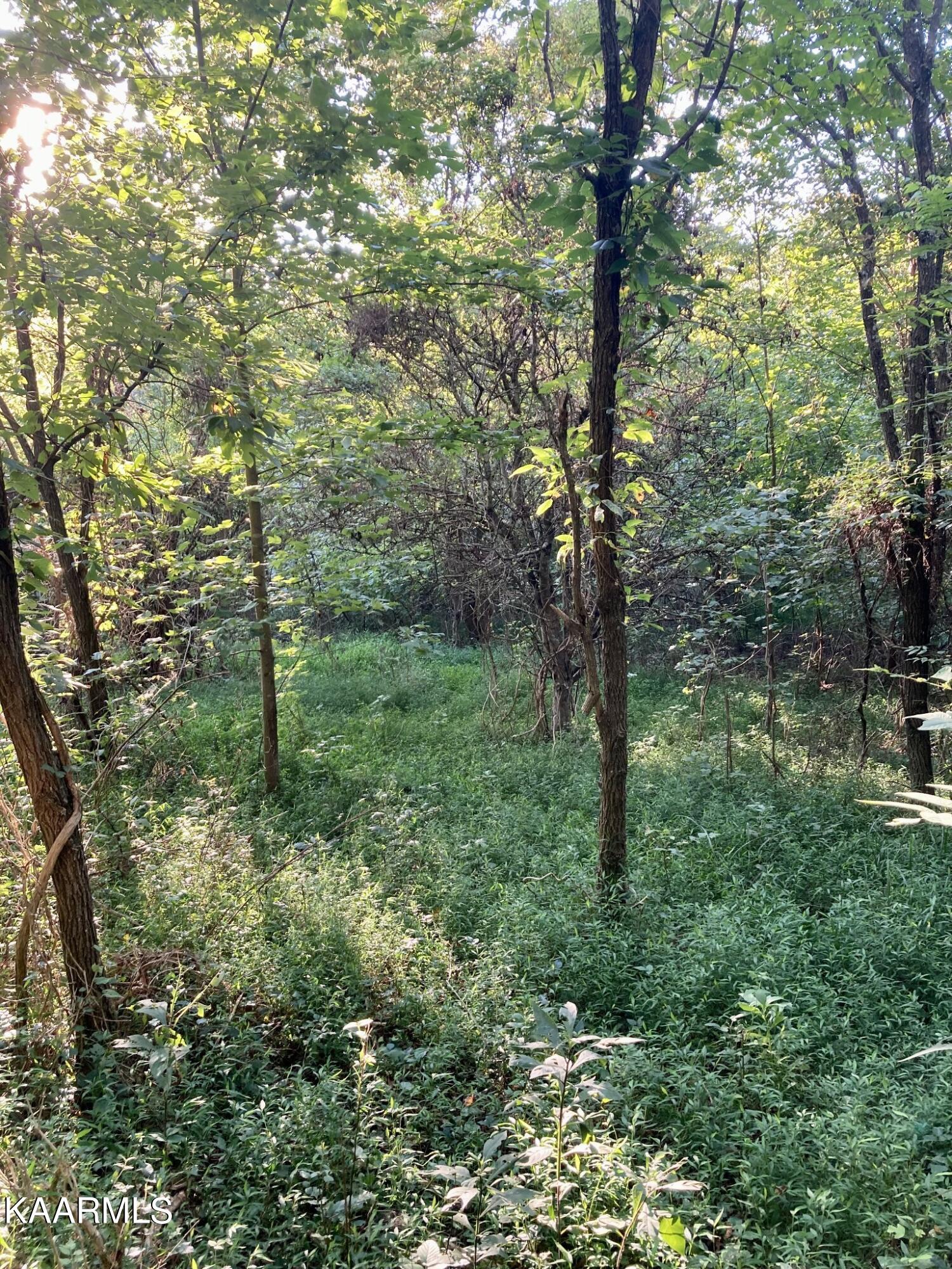 main property photo 10