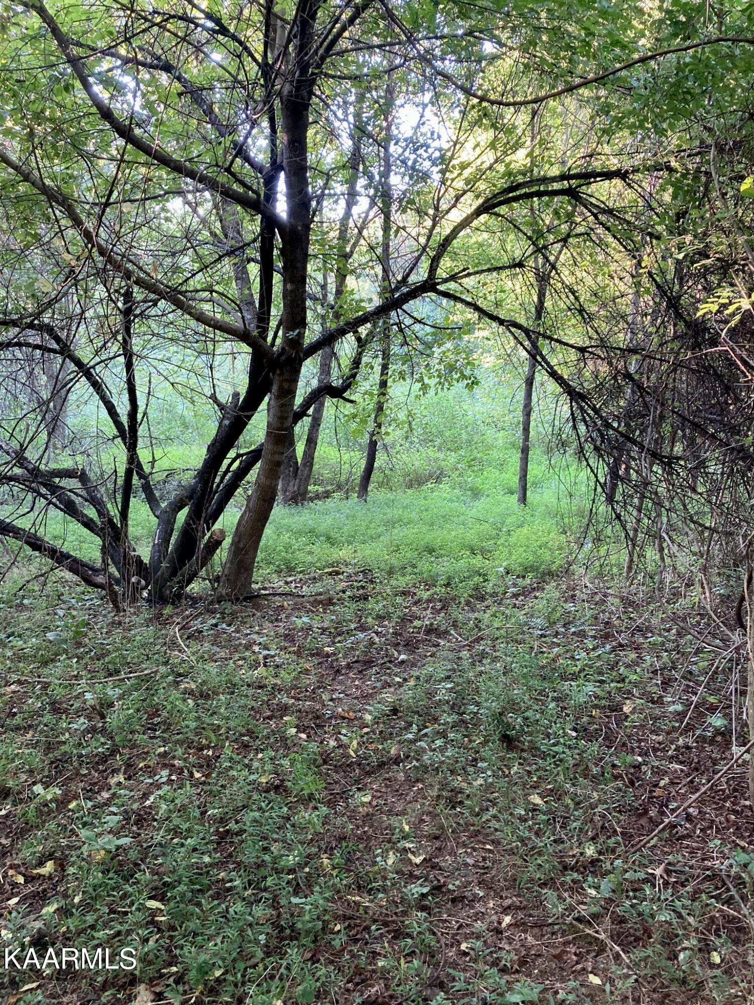 main property photo 11
