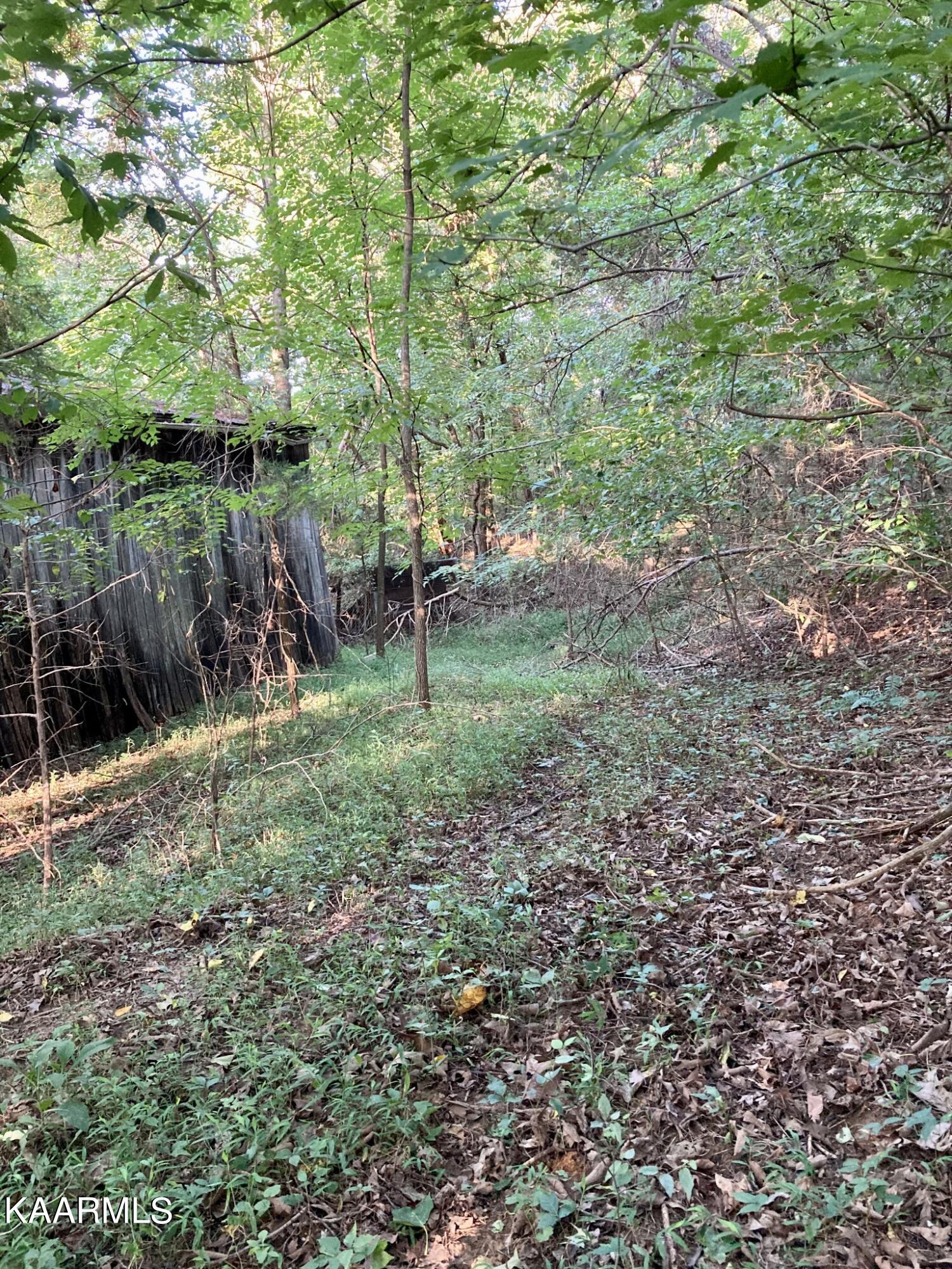 main property photo 13