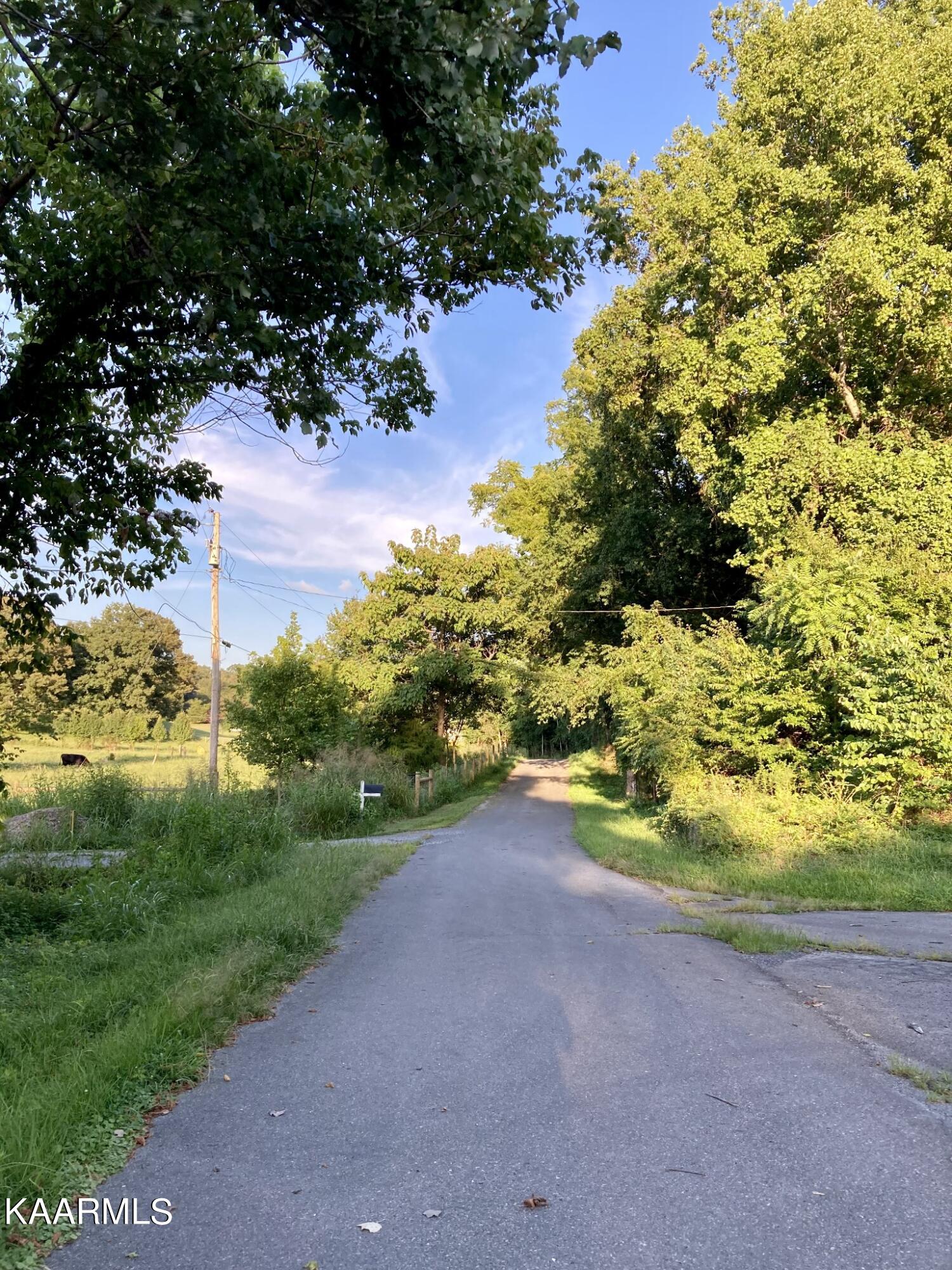 main property photo 17