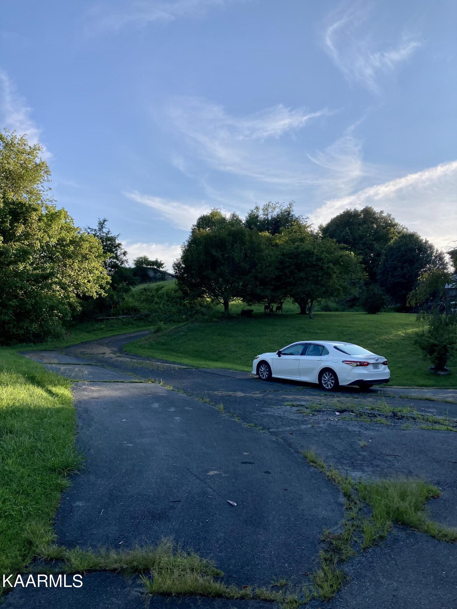main property photo 19