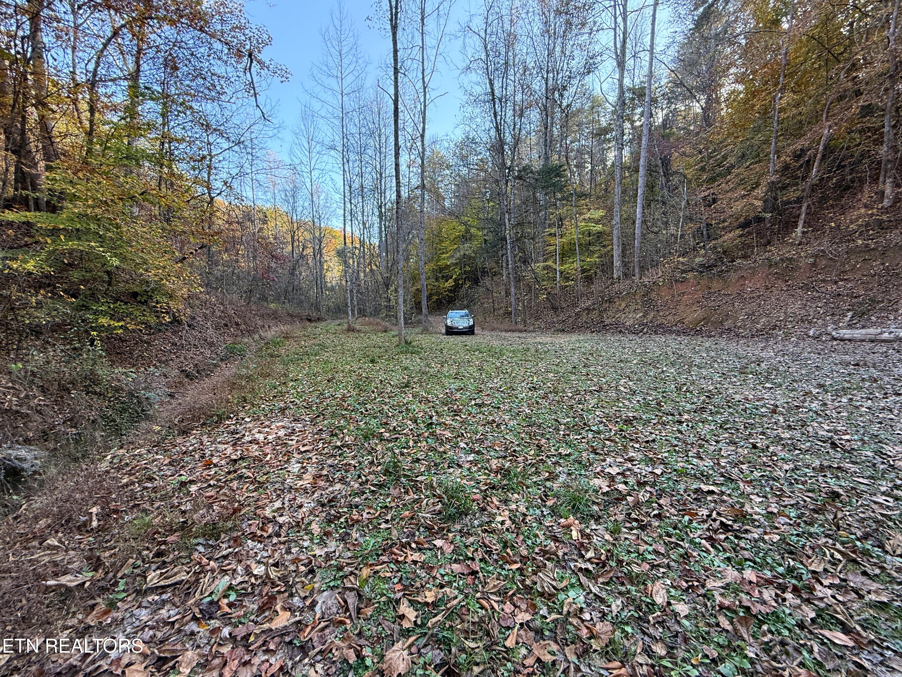 main property photo 6