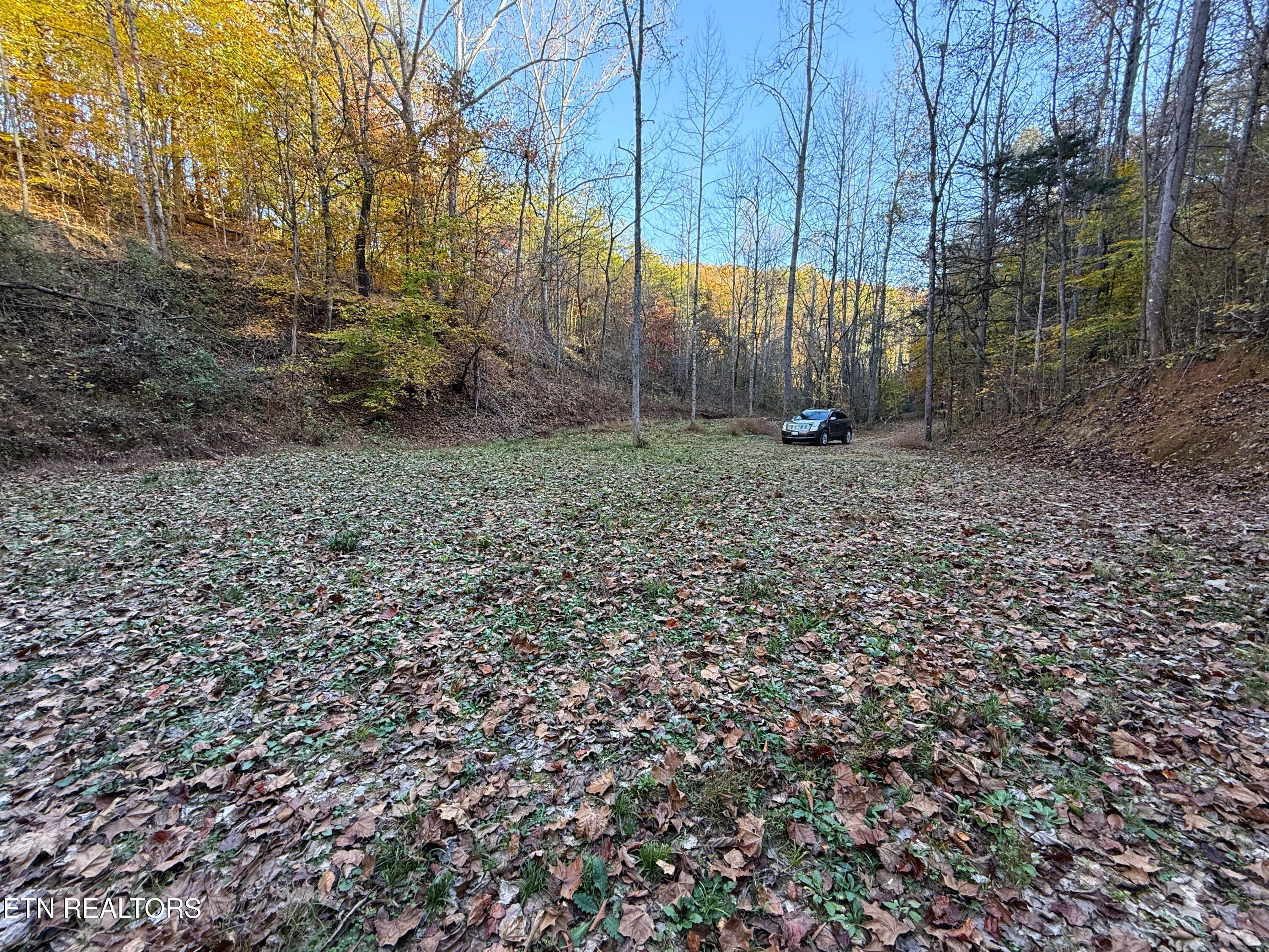 main property photo 8