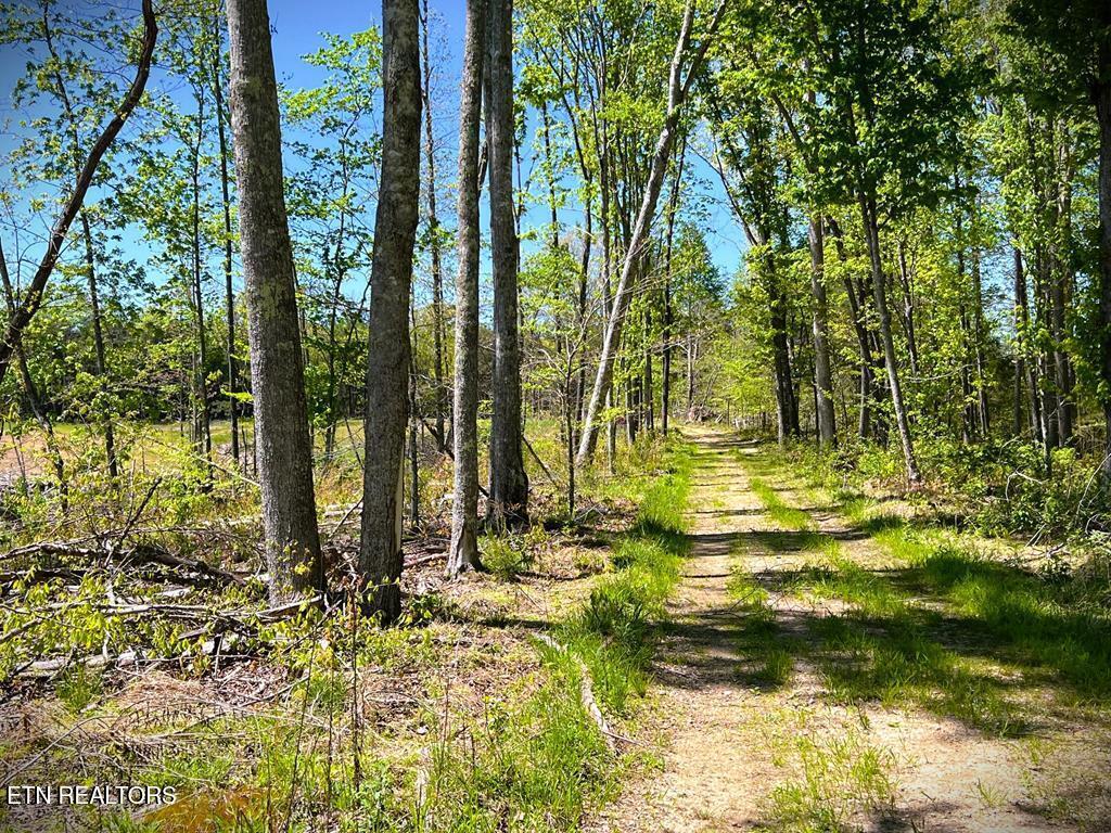 main property photo 7