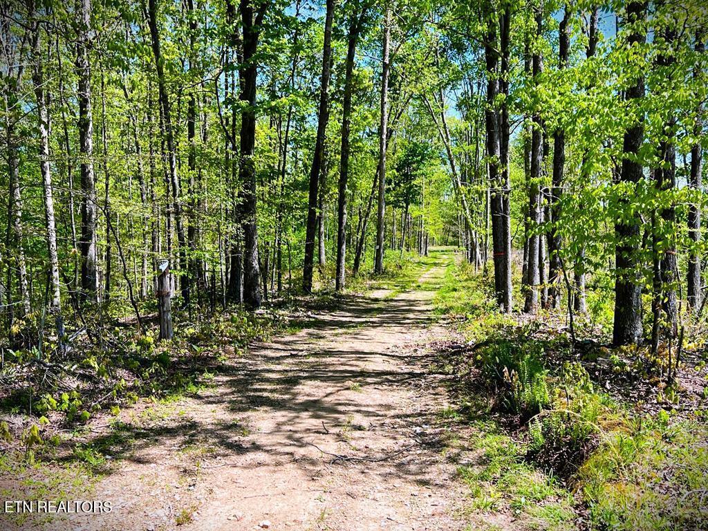 main property photo 8