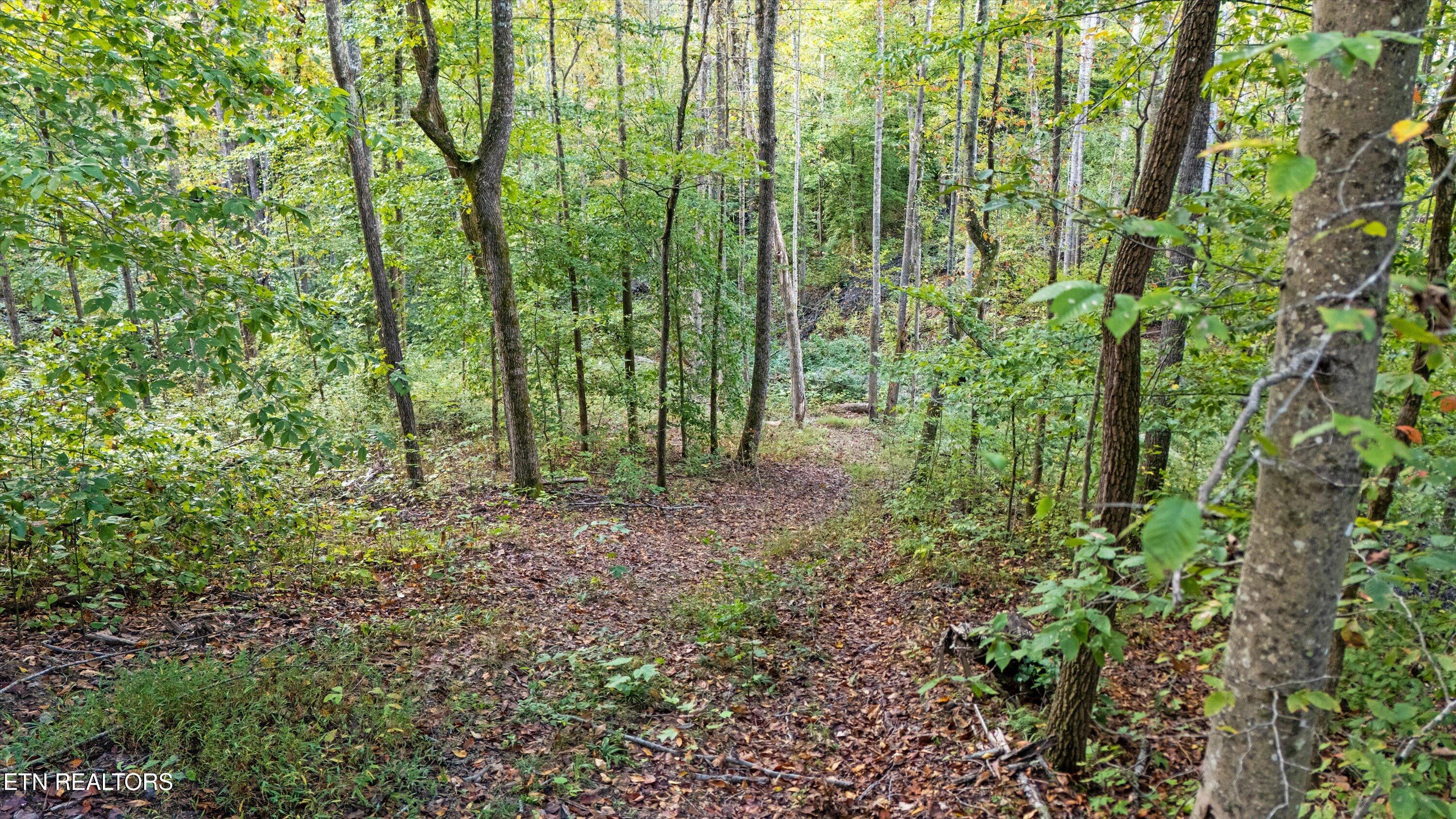 main property photo 10
