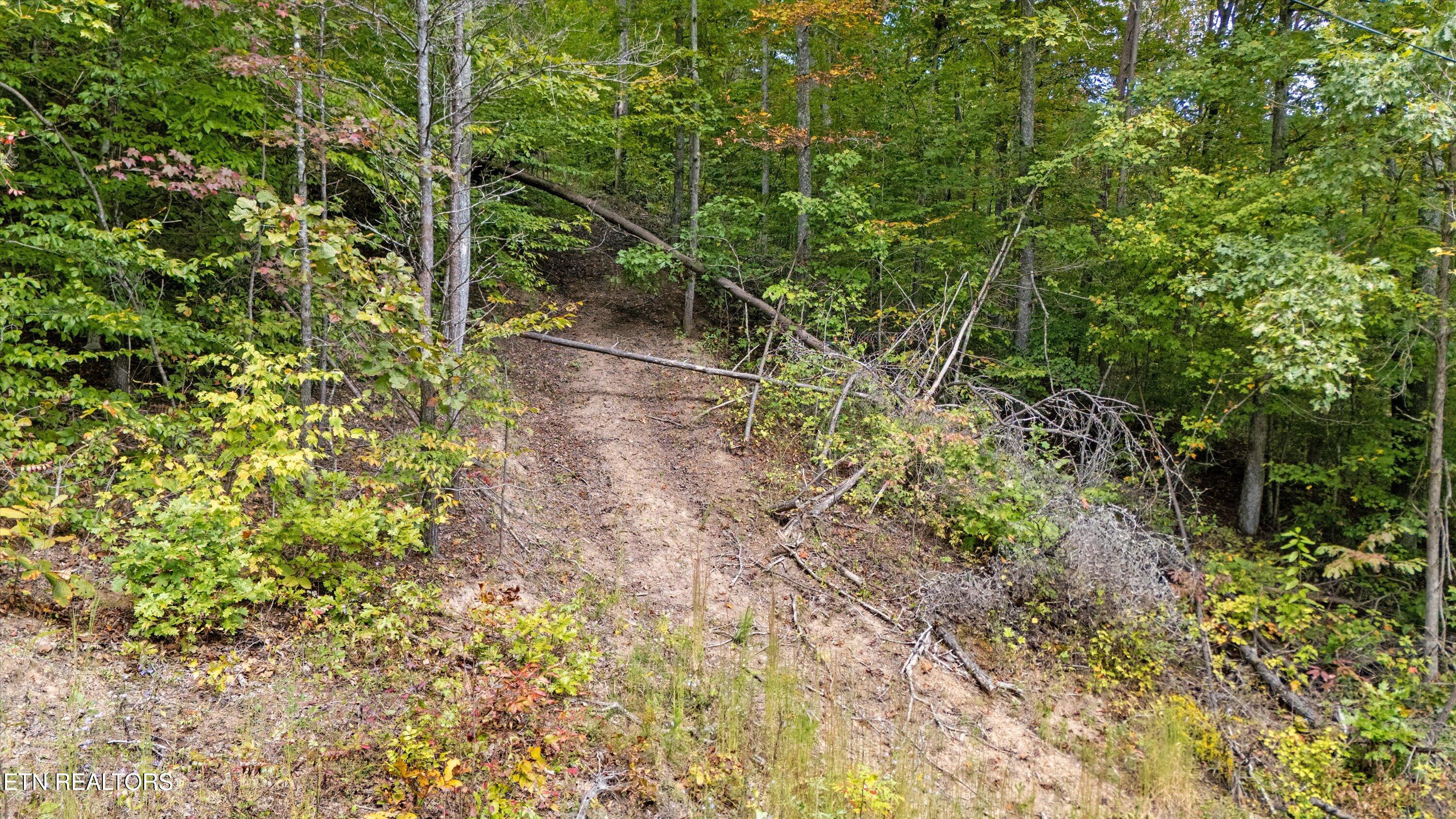 main property photo 13