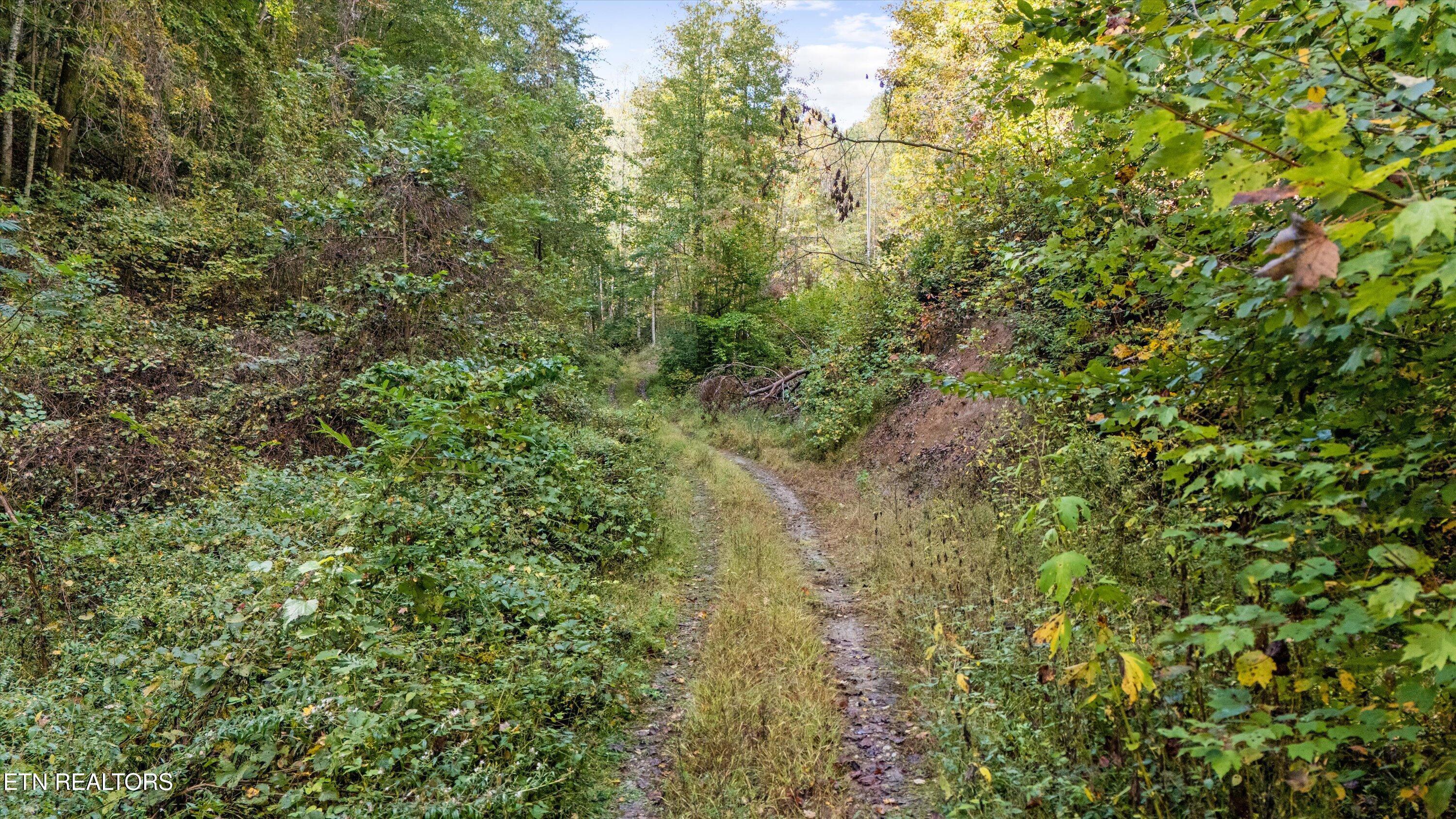 main property photo 7
