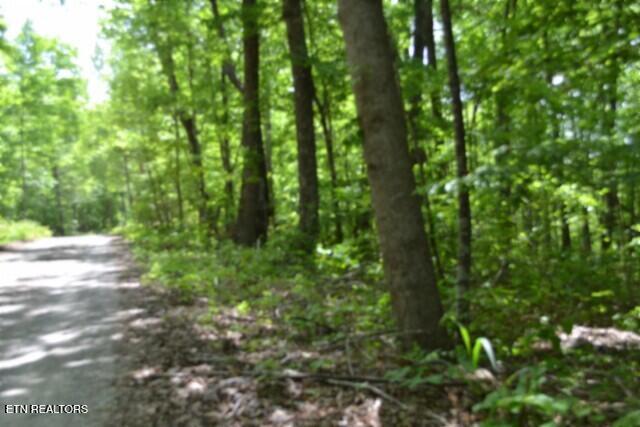 main property photo 12