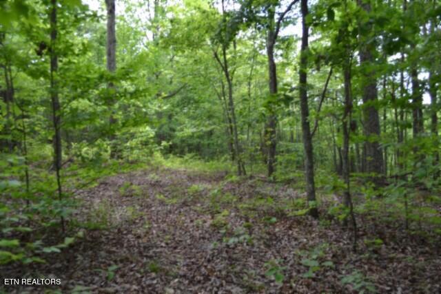 main property photo 17