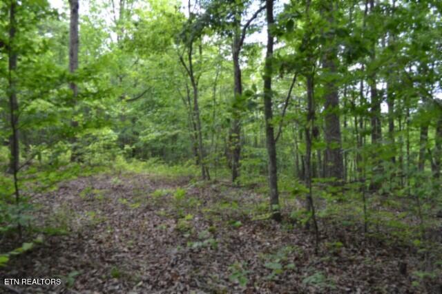 main property photo 18