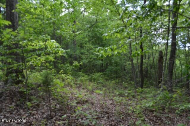 main property photo 21