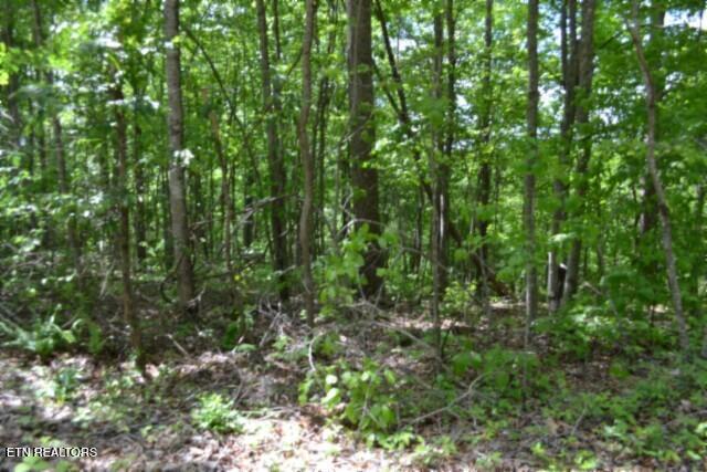 main property photo 24