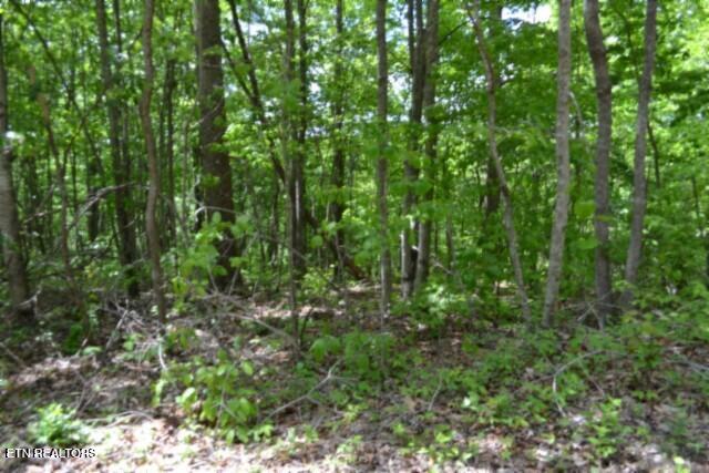 main property photo 25