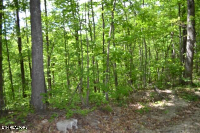 main property photo 30