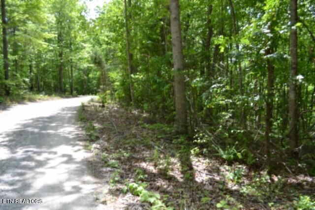 main property photo 36