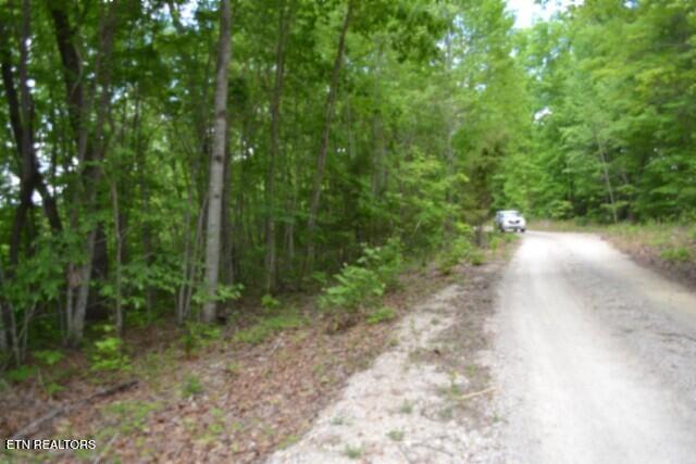 main property photo 37