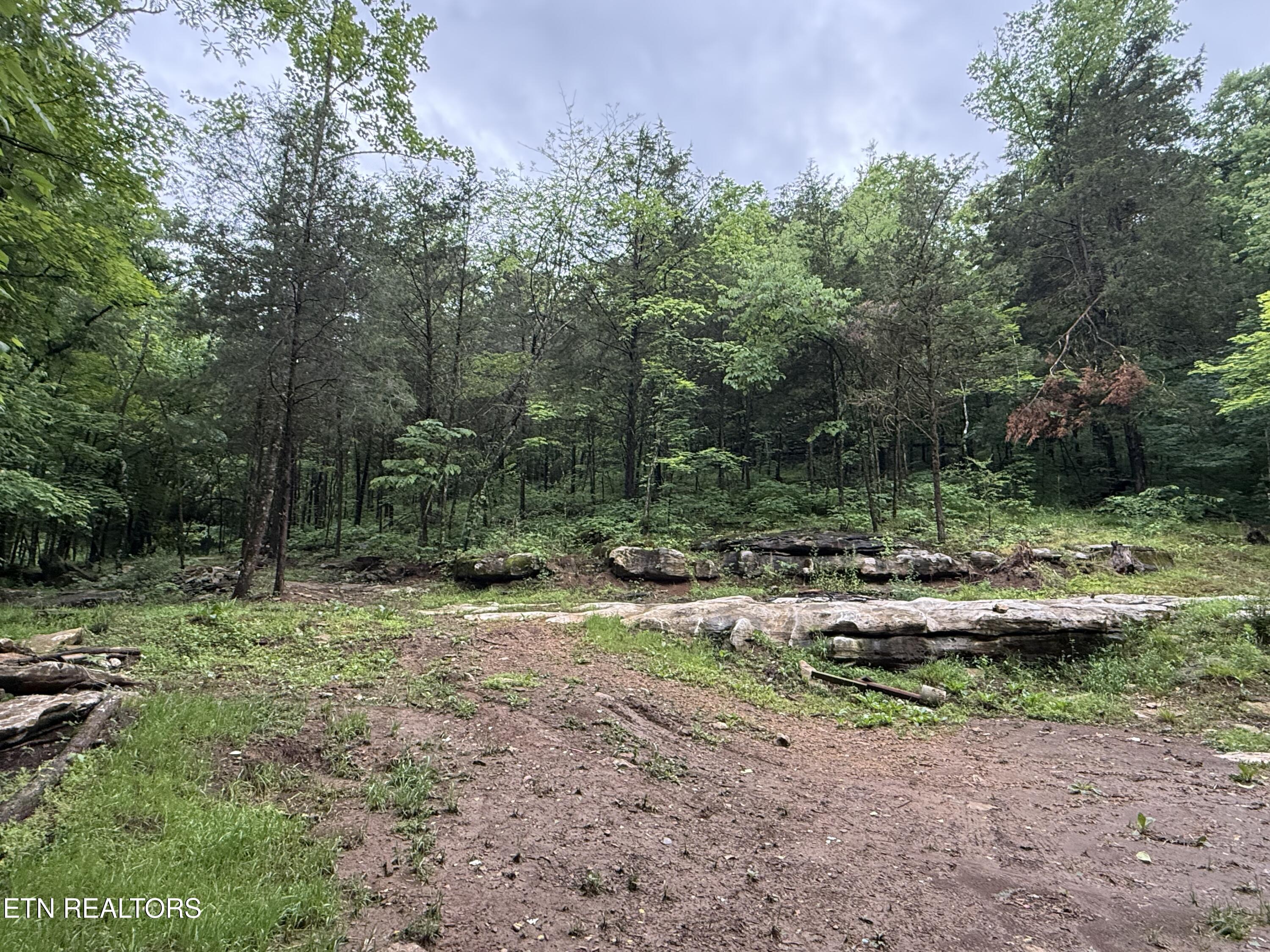 main property photo 10