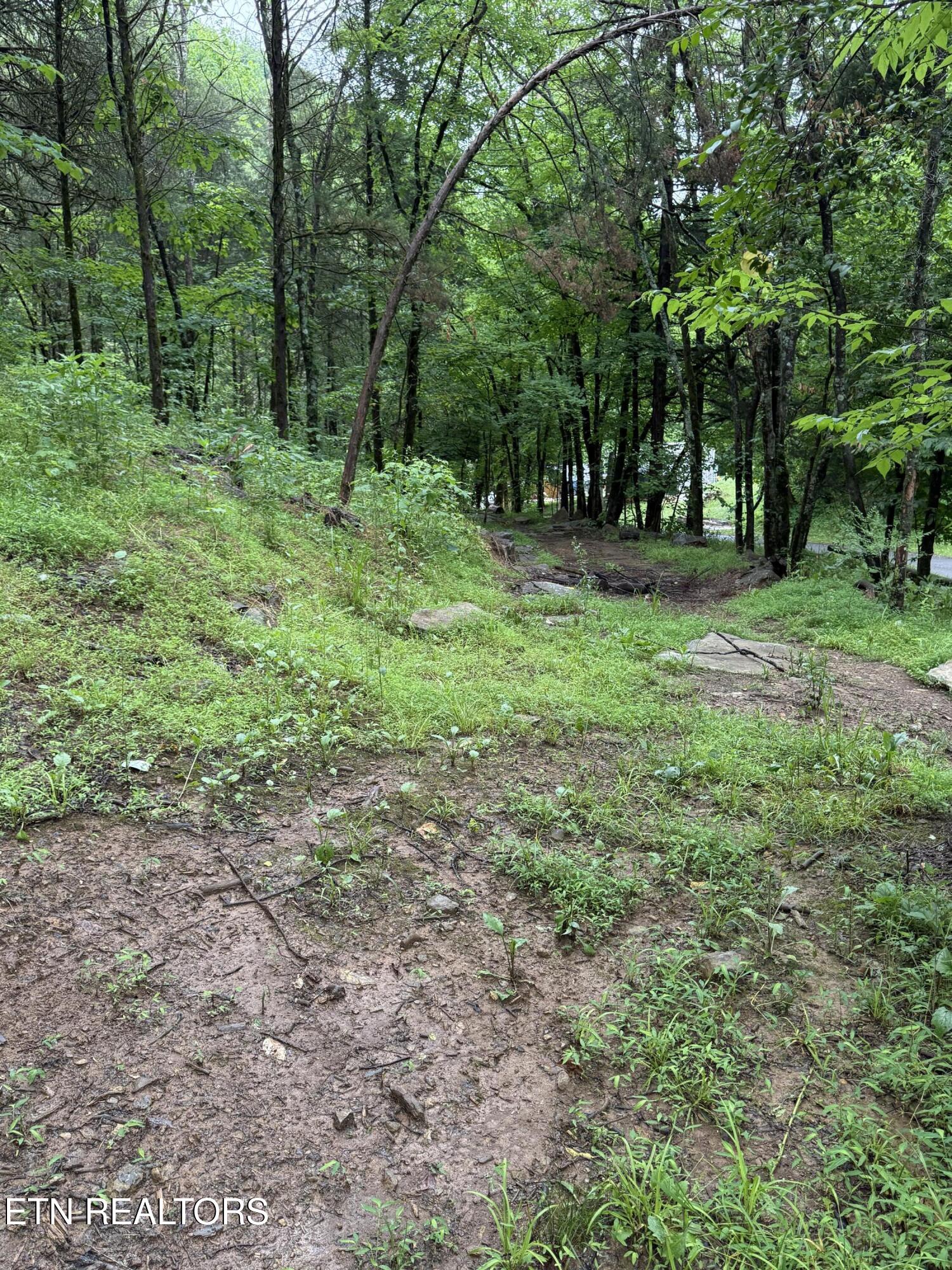 main property photo 21
