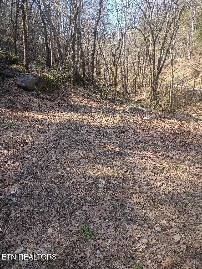 main property photo 28