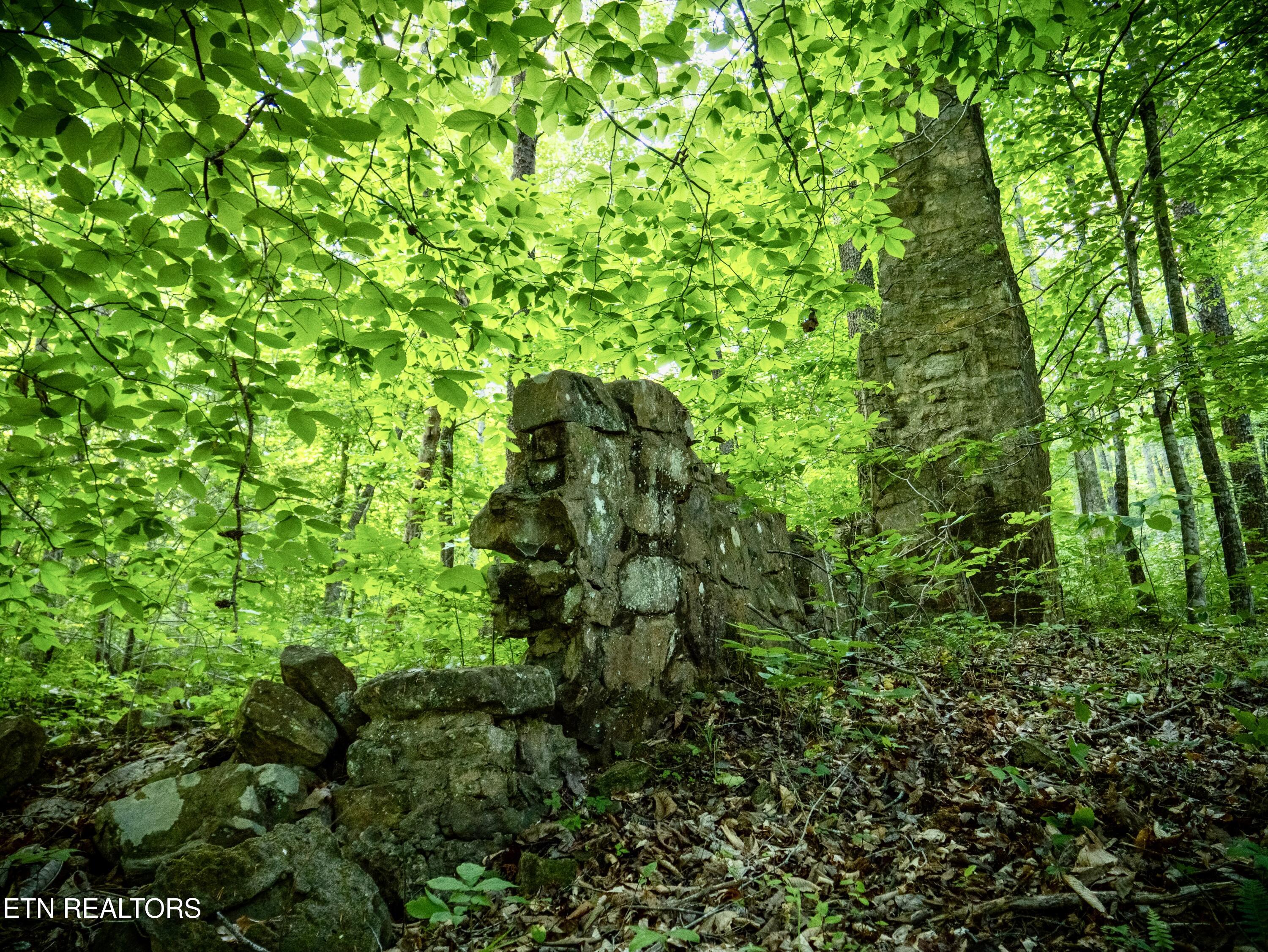 main property photo 18