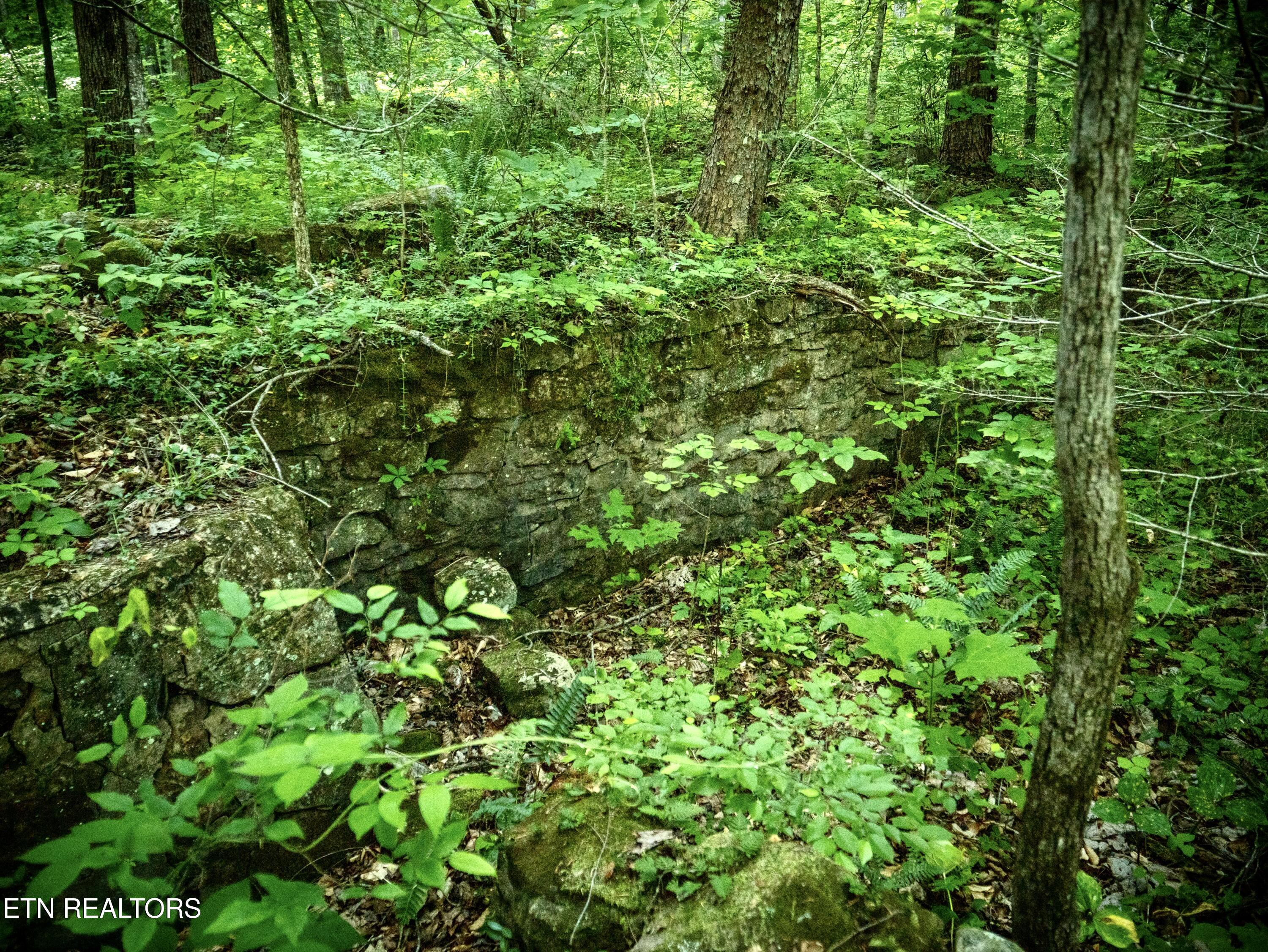 main property photo 22