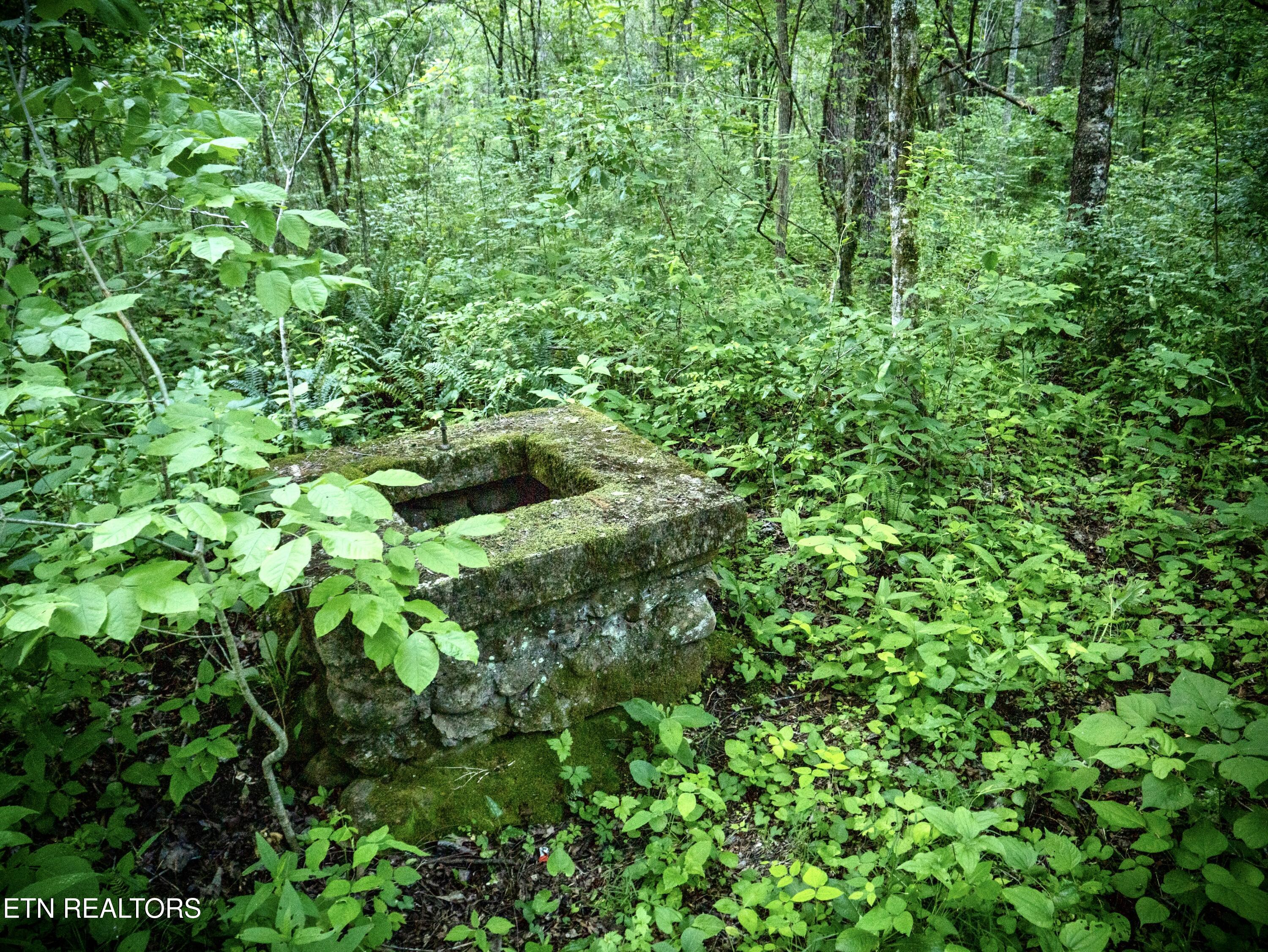 main property photo 25